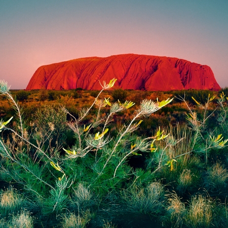 Uluru, Early Evening, Central Australia